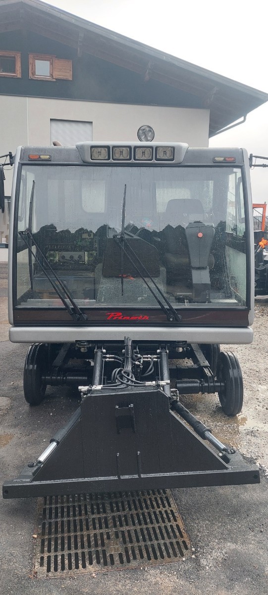 Husky mit Transportkabine