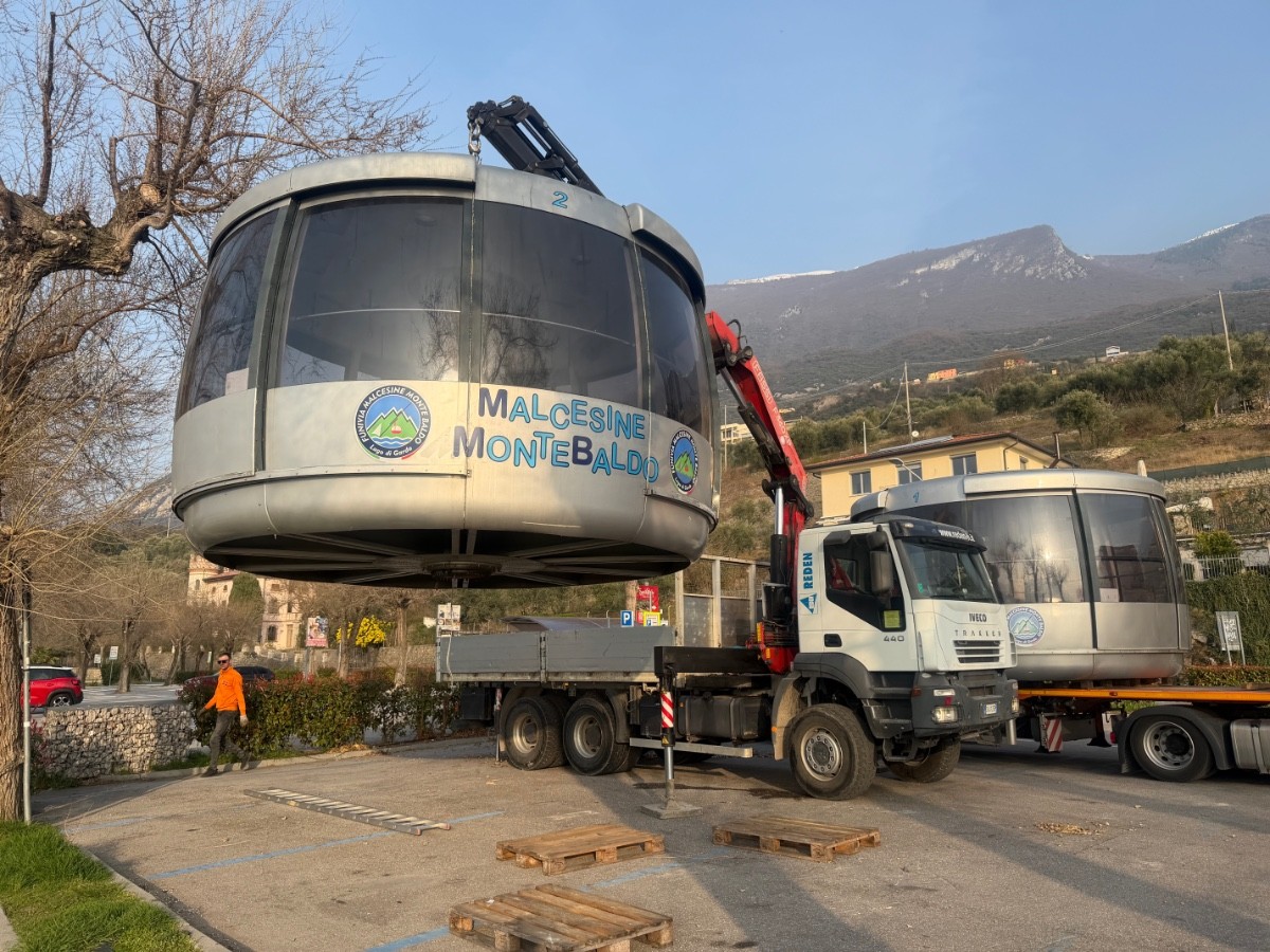 Swoboda 80+1